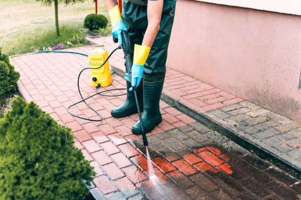 Best Pressure Washing Company Near Me  in Buckhannon, WV
